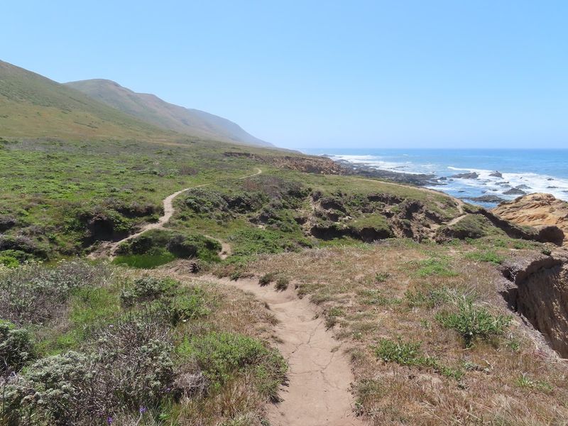 Short Trail To Ocean Views
