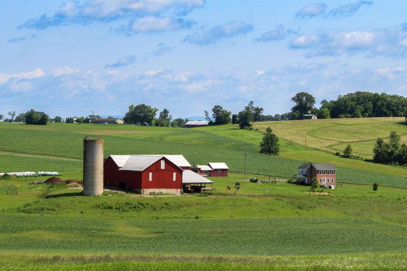 One-Room Schoolhouses Where Simplicity Reigns
