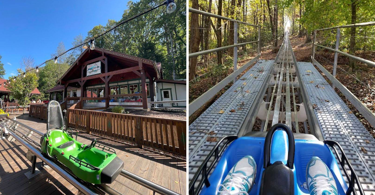 Race Through The Mountains On This Thrilling Alpine Coaster In Georgia - Decor Hint