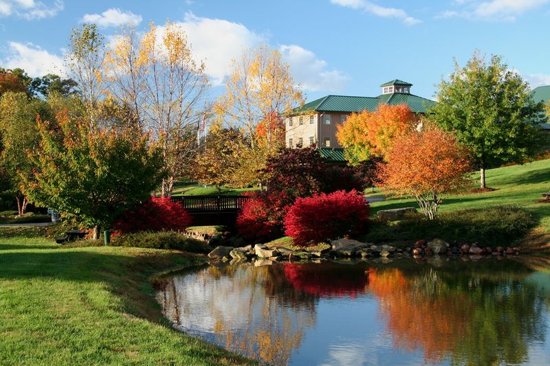 Shelton Vineyards