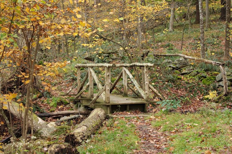 Cobble Mountain Trail, Kent