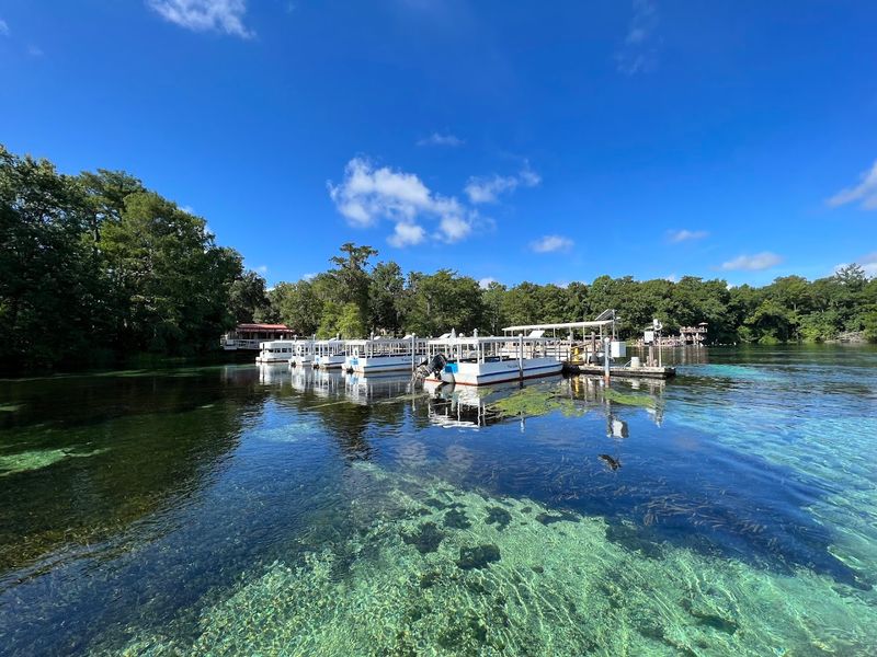 Edward Ball Wakulla Springs State Park