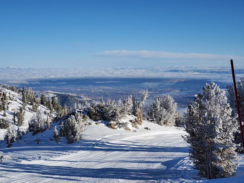 Winter Landscapes