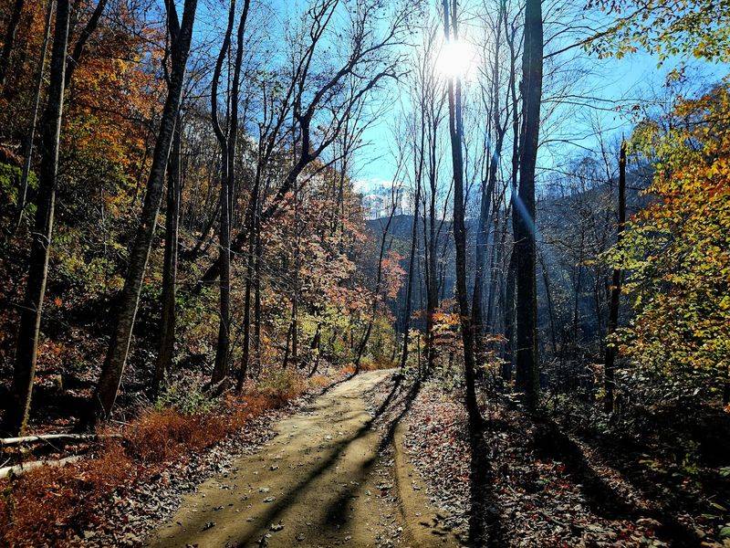 War Eagle, Mingo County