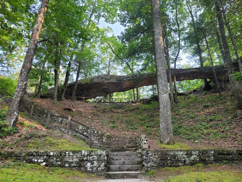 Log Rock looks delightfully unusual