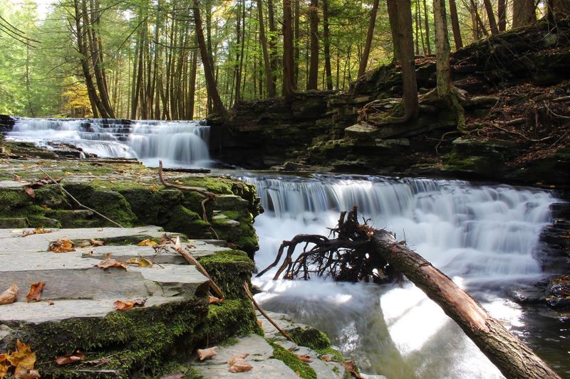 10 Hidden Pennsylvania State Parks That Feel Like Your Own Backyard - Decor Hint Salt Springs State Park