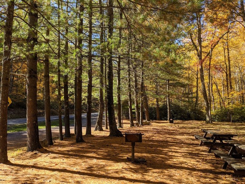 10 Hidden Pennsylvania State Parks That Feel Like Your Own Backyard - Decor Hint Sand Bridge State Park