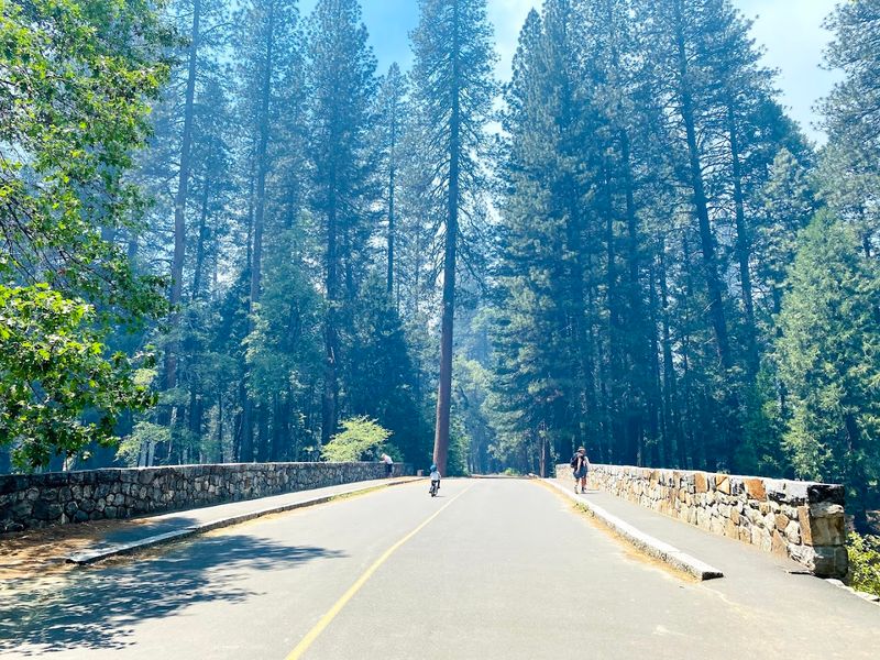 Leashed Pets And Bicycles Are Welcome On The First Mile