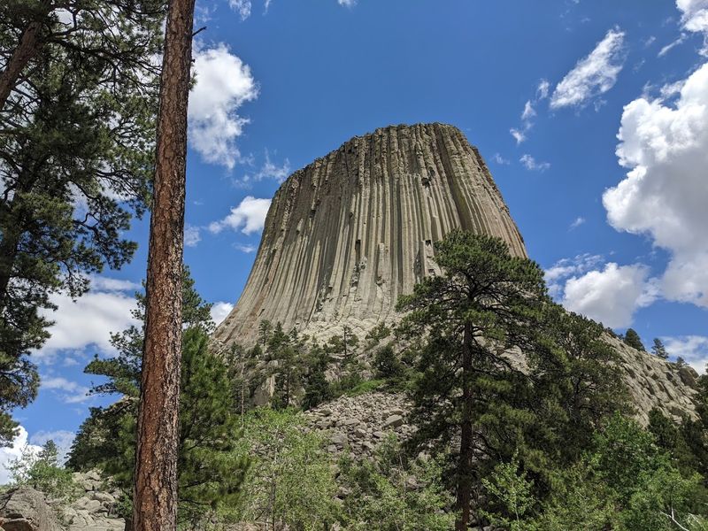 Scenic Drive Through Devils Tower Entrance Road