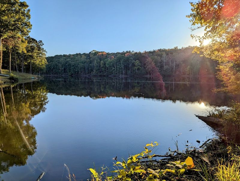 Pet-Friendly Paths and Outdoor Spaces