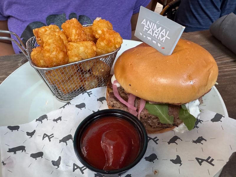 It Can Suit Both Locals And Travelers