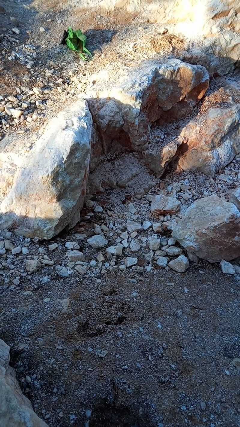 Guided Digs for a More Personal Experience