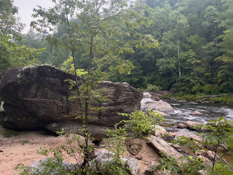 River Boulder Gardens