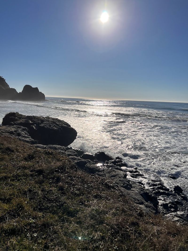Last Chance Section of the California Coastal Trail, Del Norte Coast Redwoods State Park, Crescent City Area