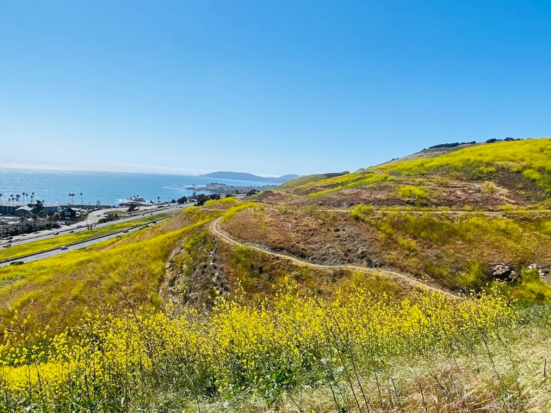 Park Trails, Pismo State Beach