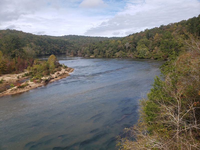 Bird Watching That Surprises Even Experienced Birders
