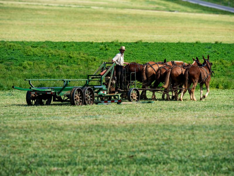 Rolling Farmland That Stretches To The Horizon