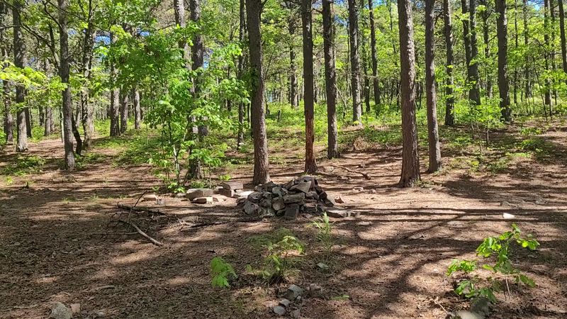 Ouachita National Forest, Talihina