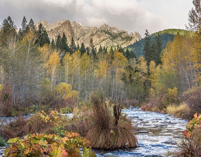 Wildlife Includes Black Bears, Mountain Lions, And Rare Birds