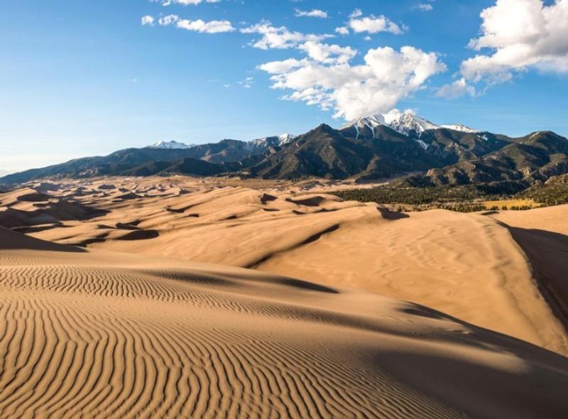 Great Sand Dunes National Park and Preserve
