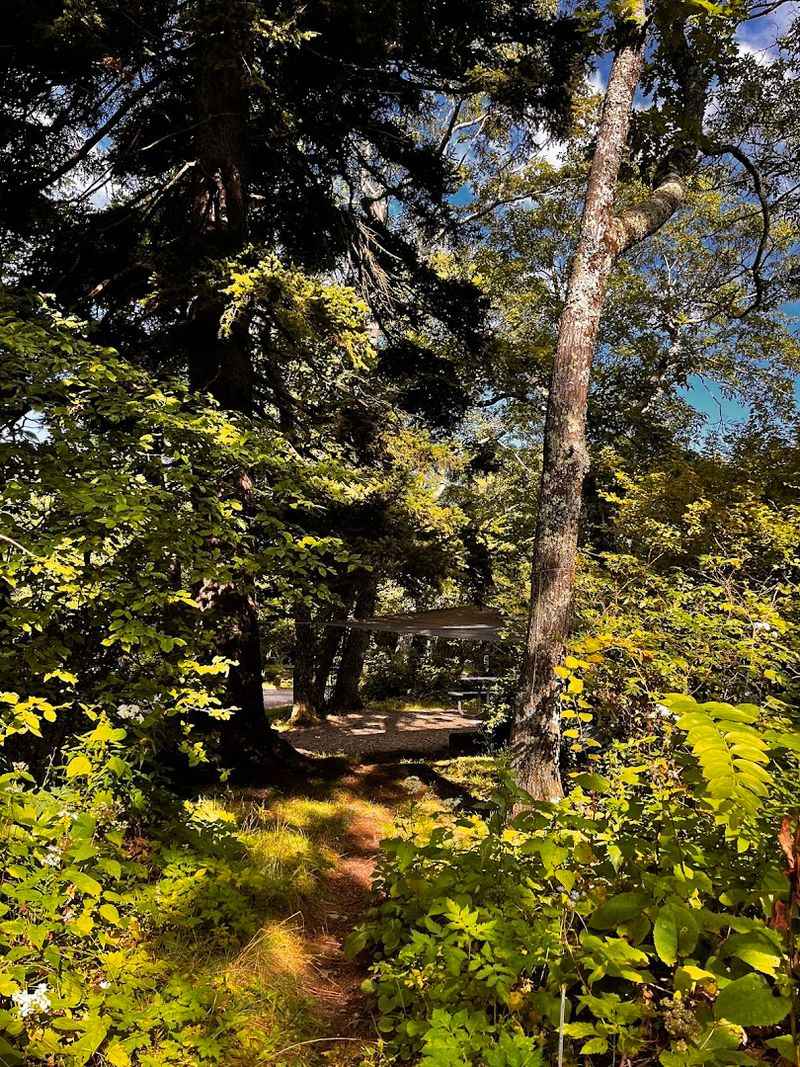 Hiking Right From The Property