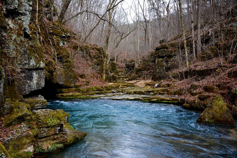 Greer Spring