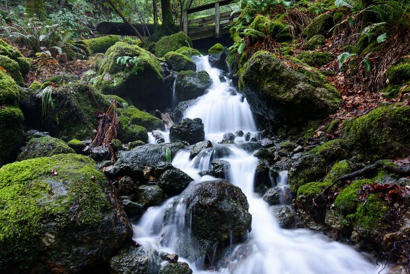 Cataract Falls Trail, Mount Tamalpais Watershed, Marin County