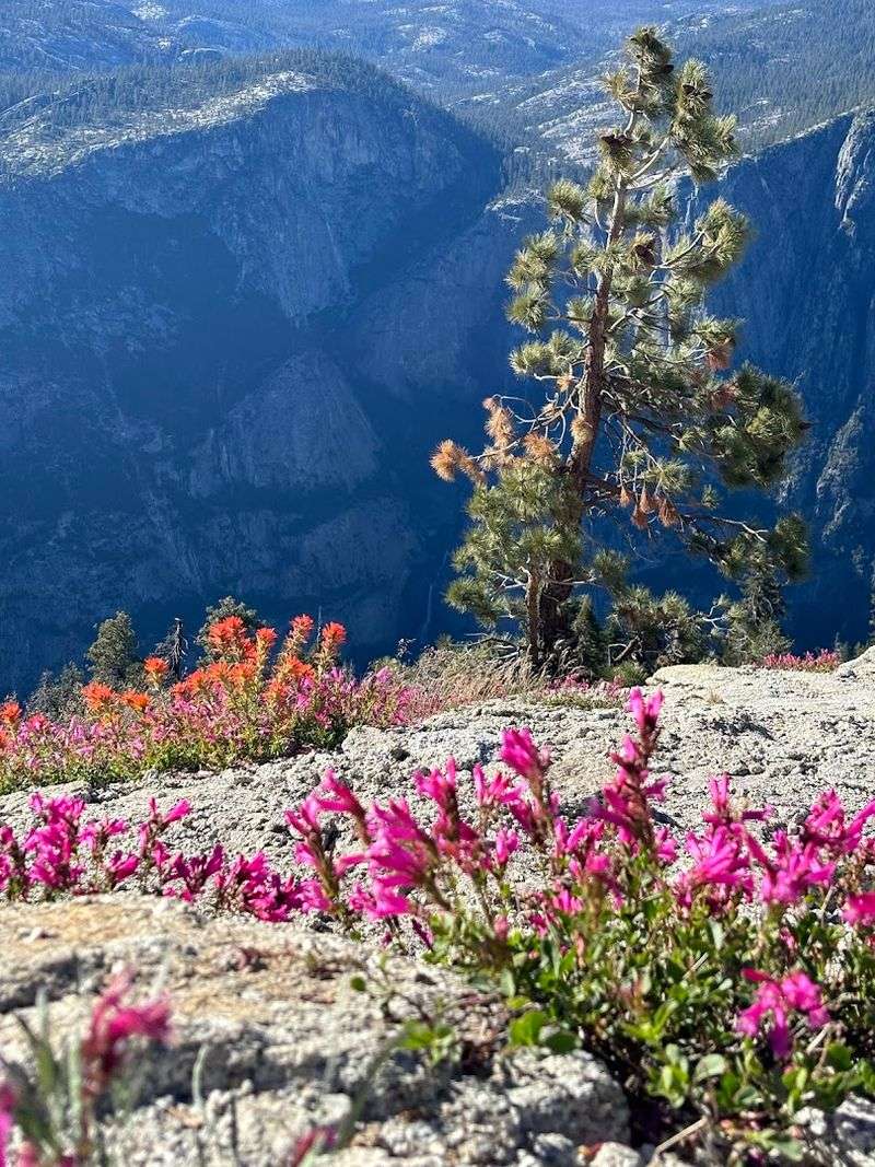 You Haven't Explored California Until You've Hiked This 2.2-Mile Trail With Million-Dollar Vistas - Decor Hint Seasonal Accessibility And Road Opening