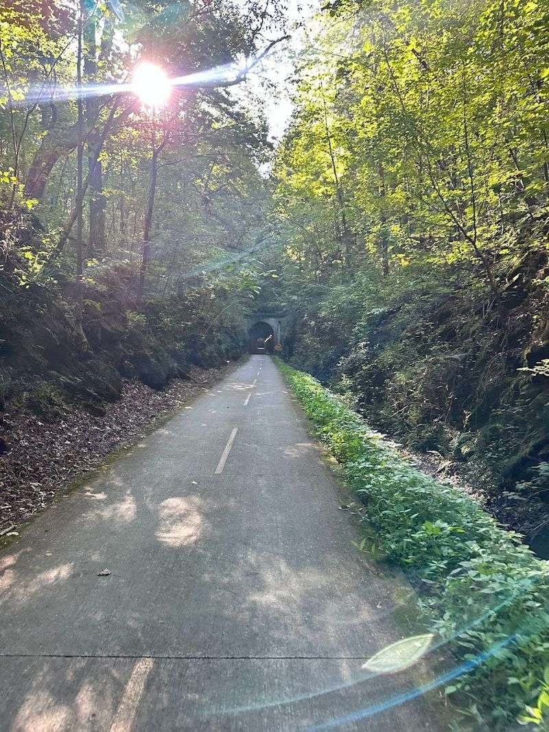 Picnic Areas and Rest Spots Along the Route