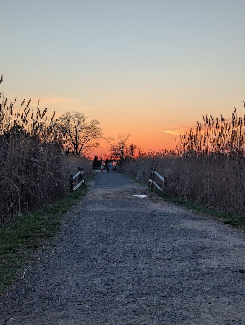 Terrapin Nature Park