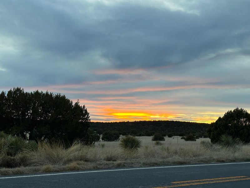 White Mountains Scenic Road (SR-260)