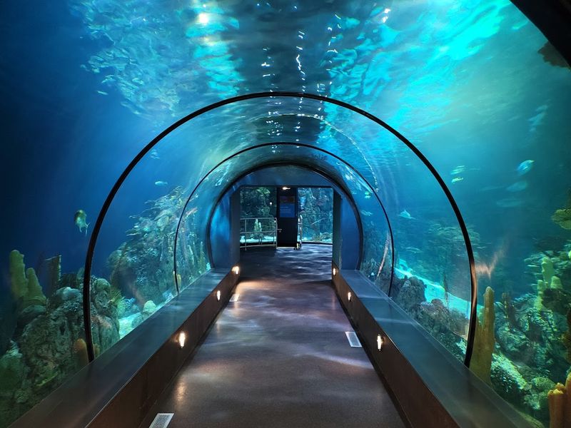 Galveston, Texas: Moody Gardens