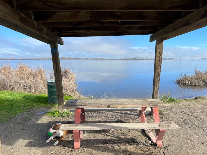 These 10 Waterfront Campgrounds In California's Central Valley Are Ideal For Spring Weekends - Decor Hint Medeiros Campground (San Luis Reservoir State Recreation Area)