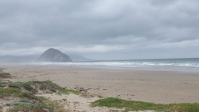 Morro Strand State Beach Campground, Morro Bay