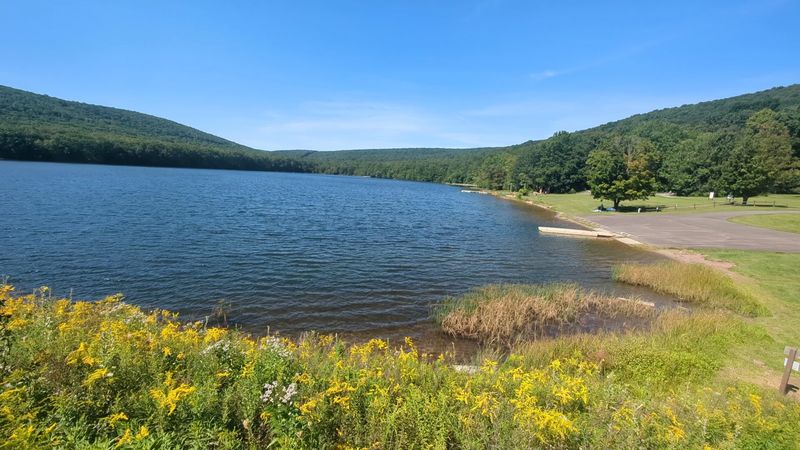 10 Hidden Pennsylvania State Parks That Feel Like Your Own Backyard - Decor Hint Locust Lake State Park