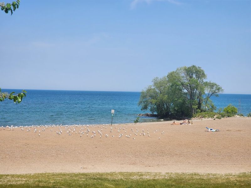 10 New York State Parks With Sandy Beaches That Make You Forget You Are Not At A Tropical Destination - Decor Hint Hamlin Beach State Park