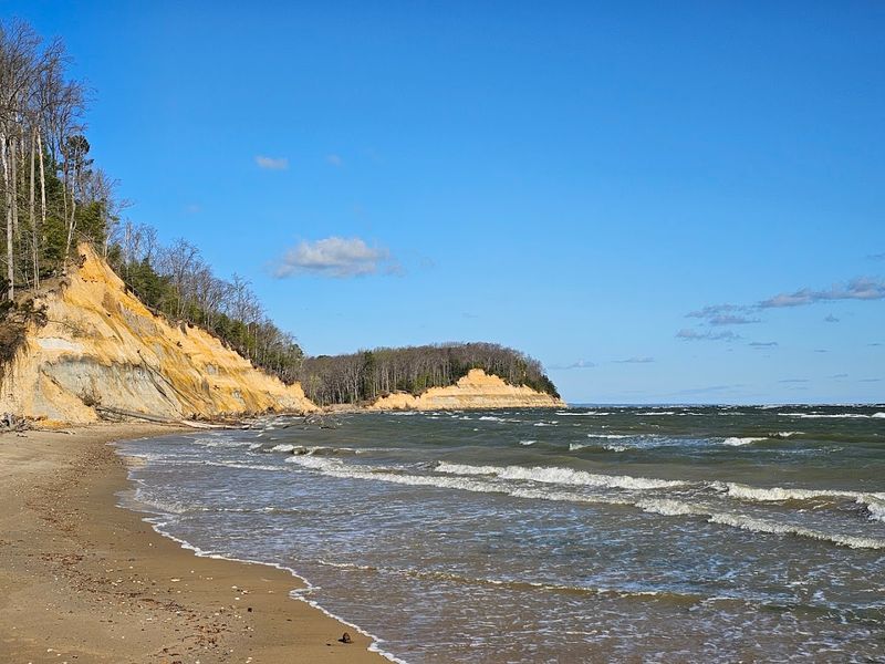 Calvert Cliffs State Park