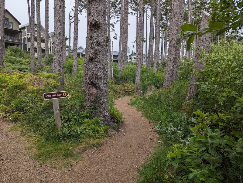 This Hidden Washington Beach Town Feels Like A Well-Kept Secret - Decor Hint Coastal Walks Daily