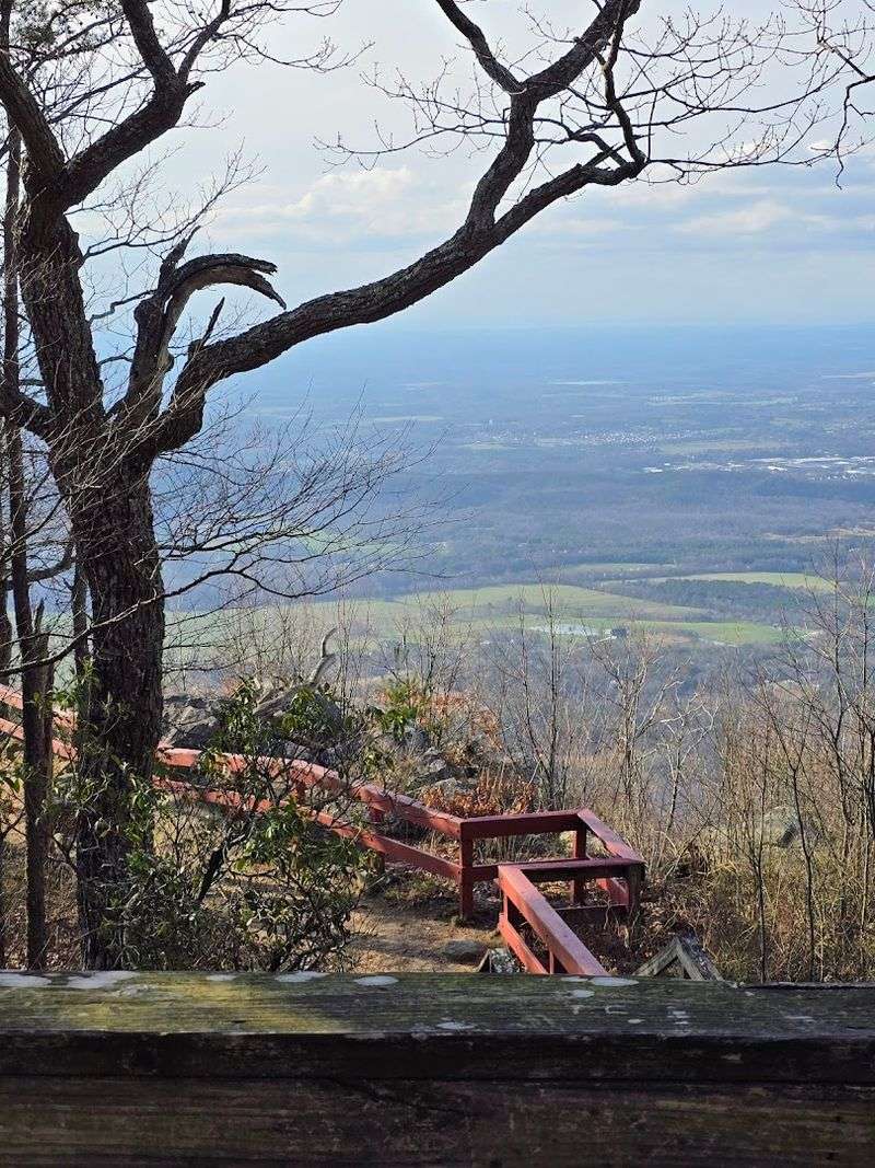 Camping Options for Every Style of Outdoor Sleeper