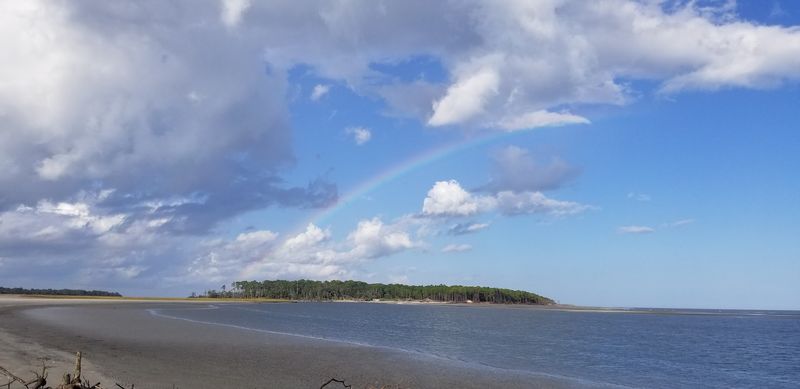 Diverse Ecosystems Packed Into One Barrier Island