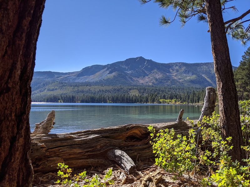 Fallen Leaf Campground