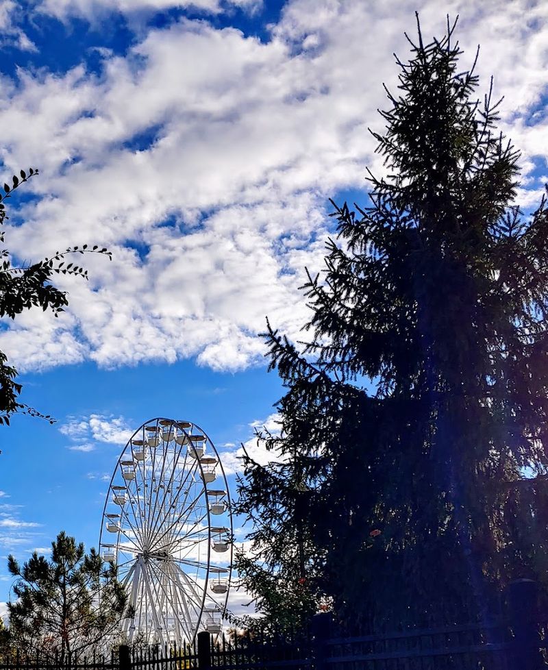 Rides At Adventure Cove