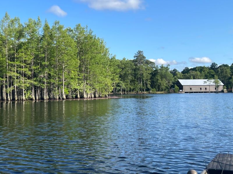 This Georgia Swamp Feels Like A Mirror-Covered Cypress Escape - Decor Hint World-Class Fishing Opportunities