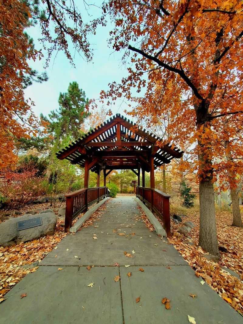 Rancho San Rafael Regional Park