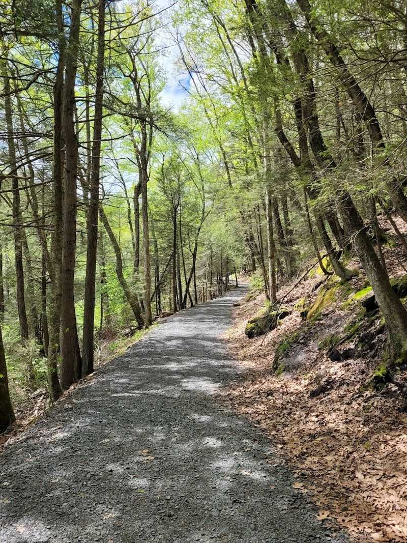 What To Know Before Exploring The Trails