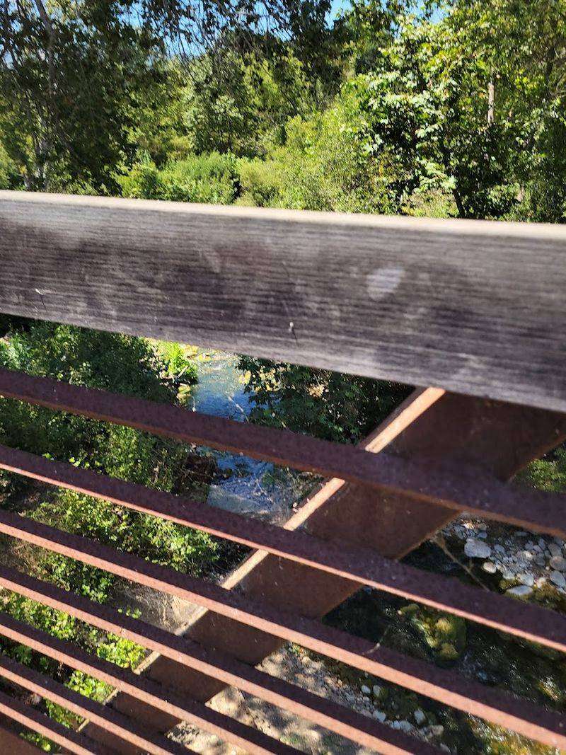 Wildlife Habitat Preserved Along The Full Corridor