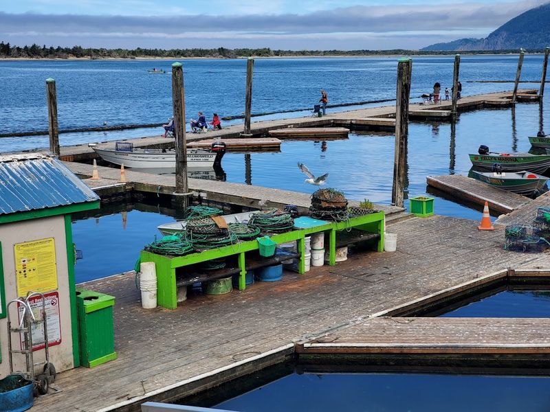 Kelly's Brighton Marina