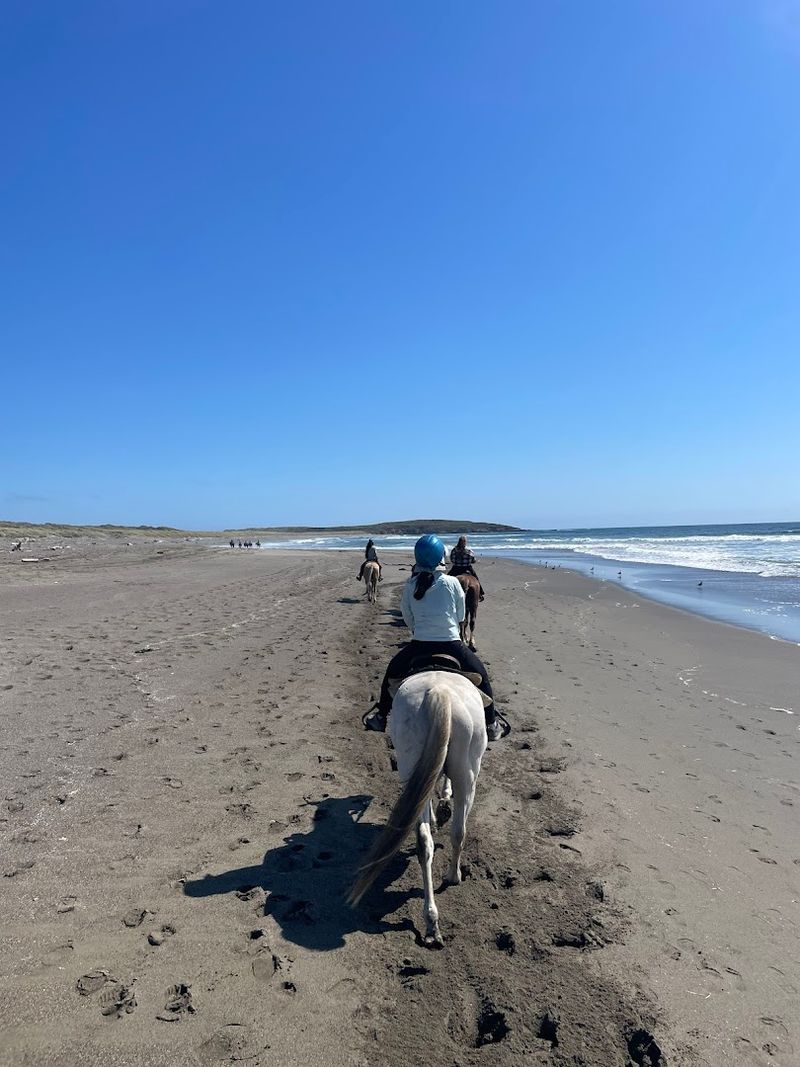 Horse N Around Trail Rides — Bodega Bay