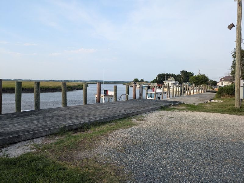 A Community With Deep Roots In The Water