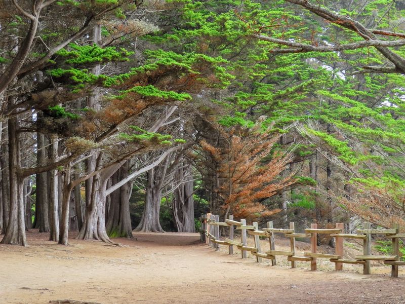 Visiting Year-Round Is Possible But Seasonal Conditions Vary